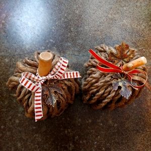 Decorations for the fall! 2 Unique pumpkins!